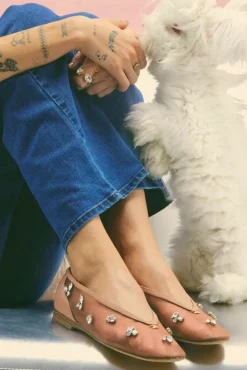 Circus | Tina Flat