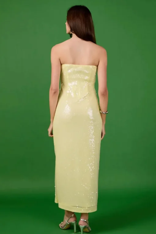 Endless Rose | Sequins Dress