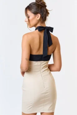 Thierry Dress (FINAL SALE)